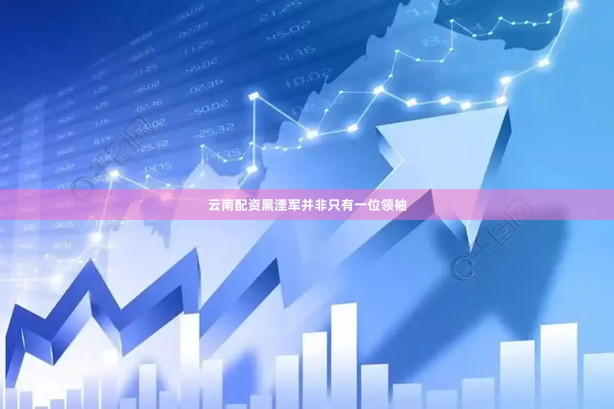 云南配资黑湮军并非只有一位领袖